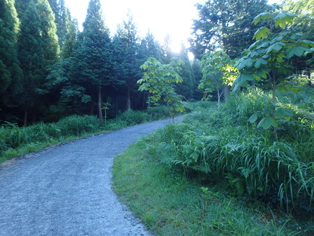 P8100007