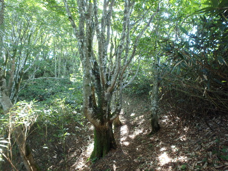 P8100034
