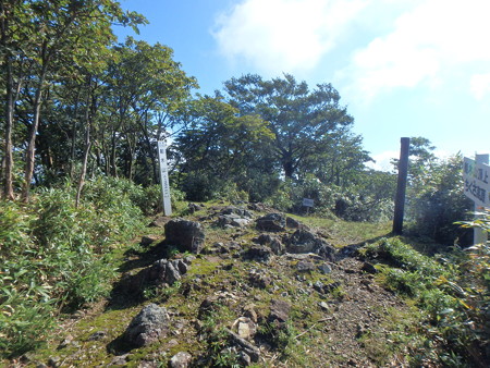 P8250019