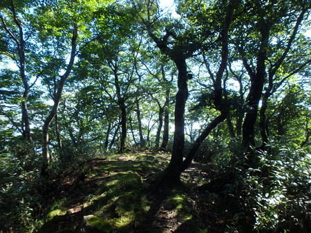 P8250025