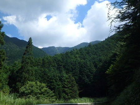 P8250066