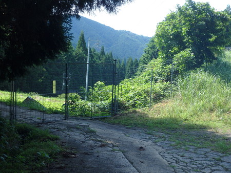 P8250067