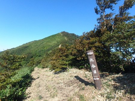 P8310009