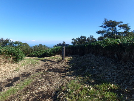P8310011