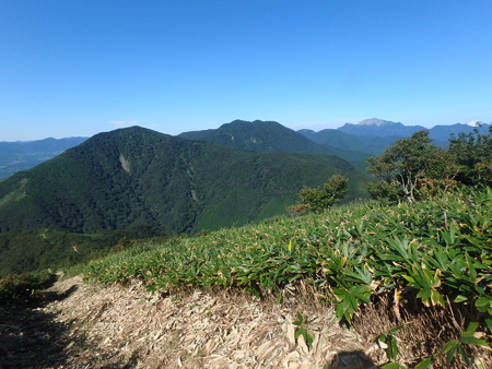 P8310018