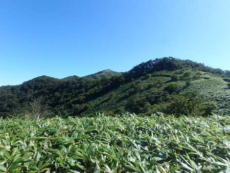 P8310025