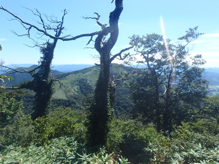 P8310049