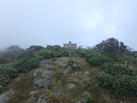 P9140038