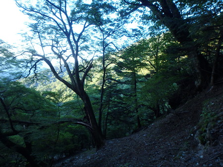P9150059
