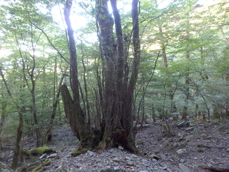 P9150062