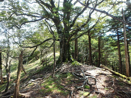P9150103
