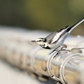 Photos: 位置についてー