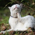Photos: セルフアッパーカット