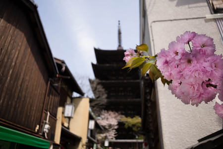 八坂の塔（法観寺）