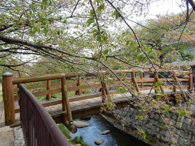 紺屋橋