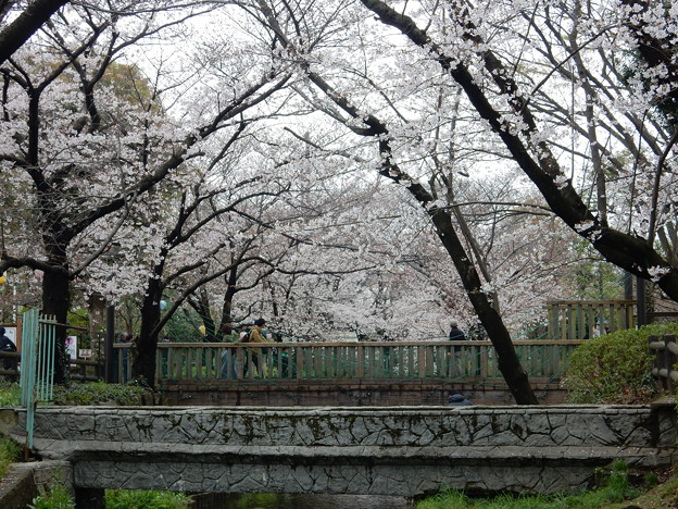 水路橋