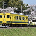 いすみ鉄道 普通列車 15D