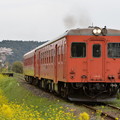 いすみ鉄道 普通列車 517D (キハ52 125 + キハ28 2346)