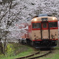 いすみ鉄道 普通列車 520D (キハ28 2346 + キハ52 125)