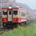 いすみ鉄道 普通列車 50D (キハ20 1303)