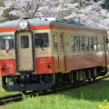 いすみ鉄道 普通列車 54D (キハ20 1303)