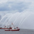 132-0486