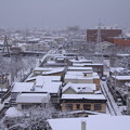 Photos: 北側の雪景色02