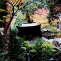 大雄山の寺院４