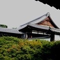 東福寺風景