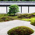 東福寺の庭園２
