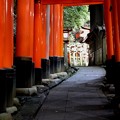 伏見稲荷　鳥居の回廊１１