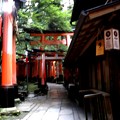 伏見稲荷　鳥居の回廊１３