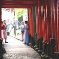 伏見稲荷　鳥居の回廊１４