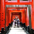 伏見稲荷　鳥居の回廊１５