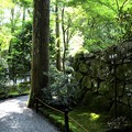 朱雀門への道