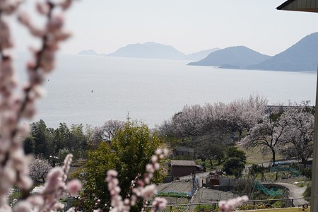DSC00084