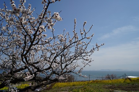 DSC00116