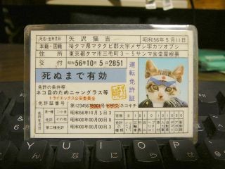 なめ猫