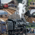 観光列車集合collage