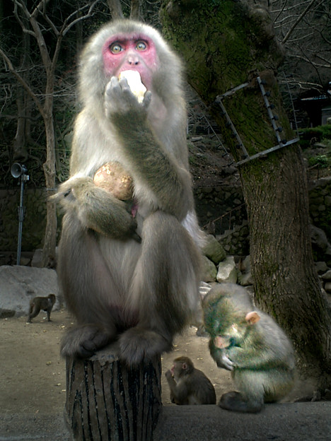 親子2