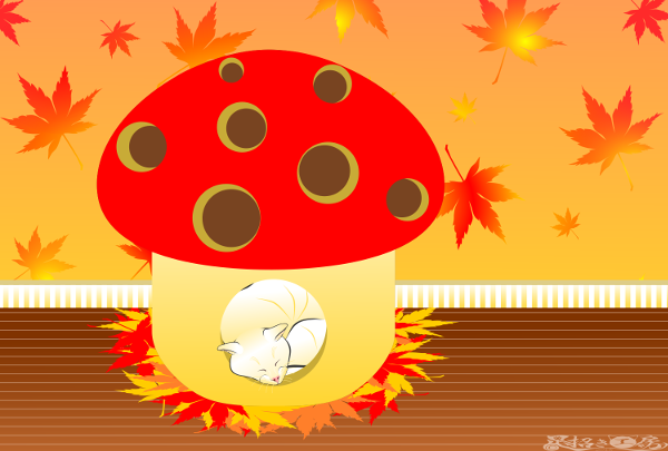 20181121
