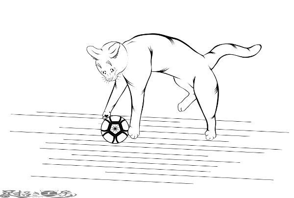 20190123