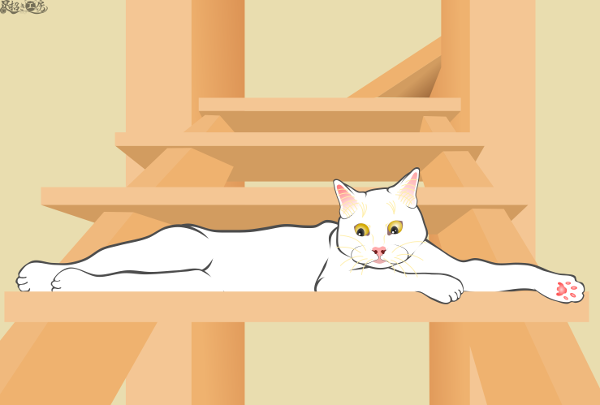 20190728