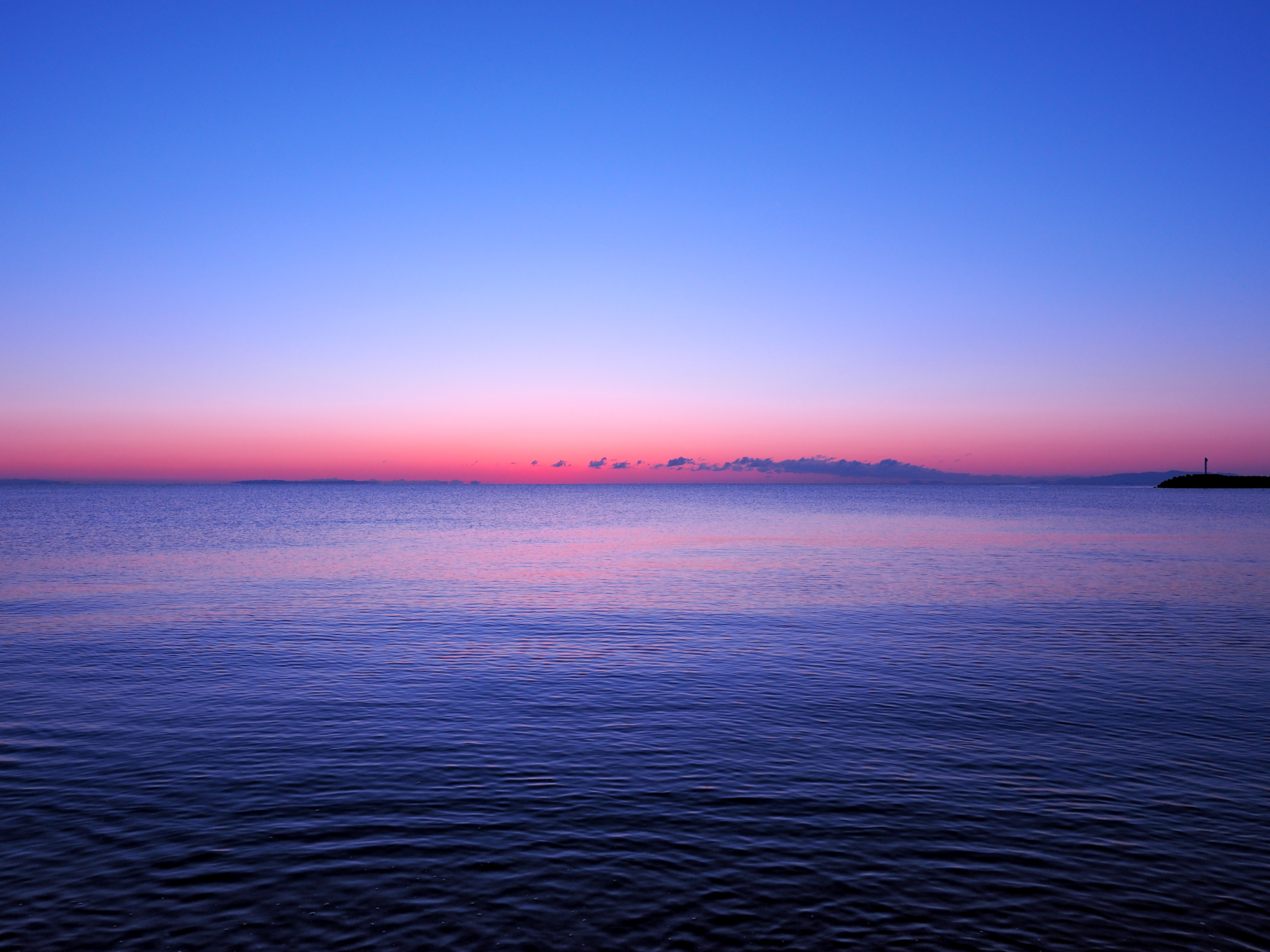 写真: P1040001