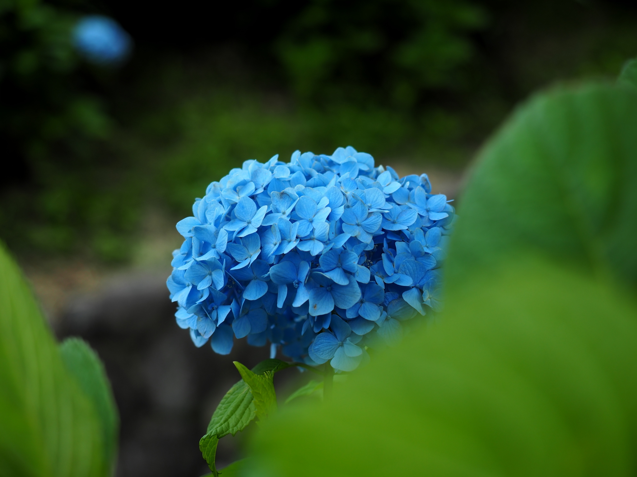 写真: P6090003