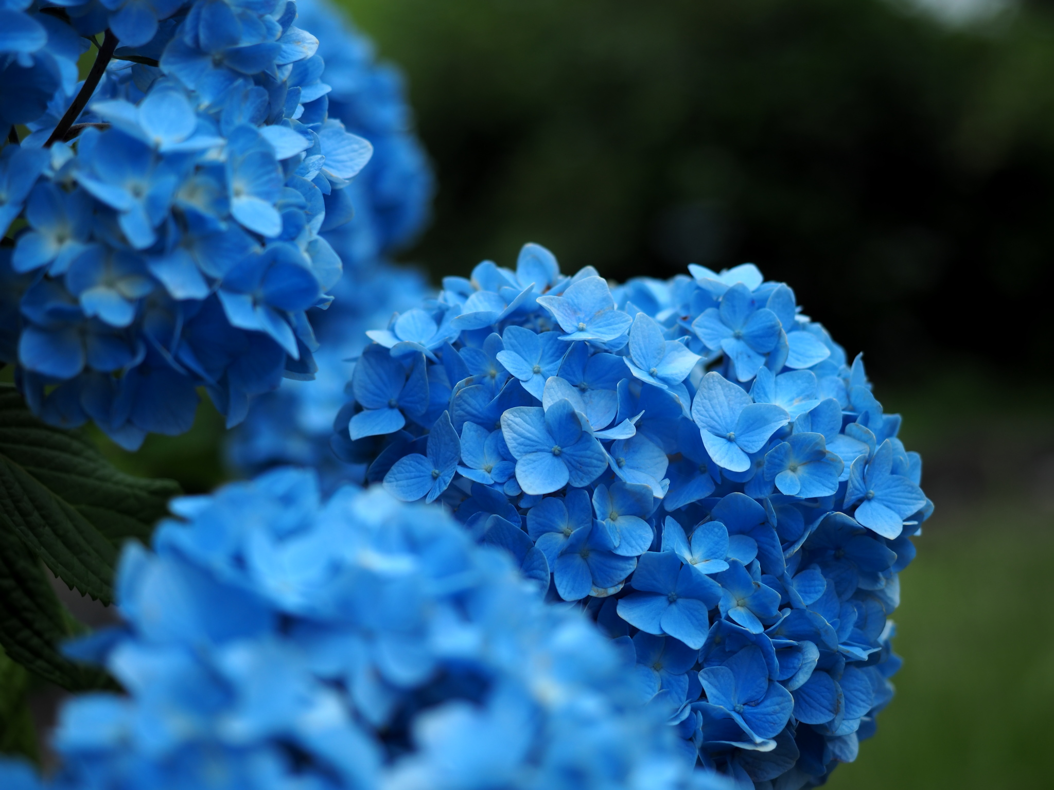 写真: P6090014