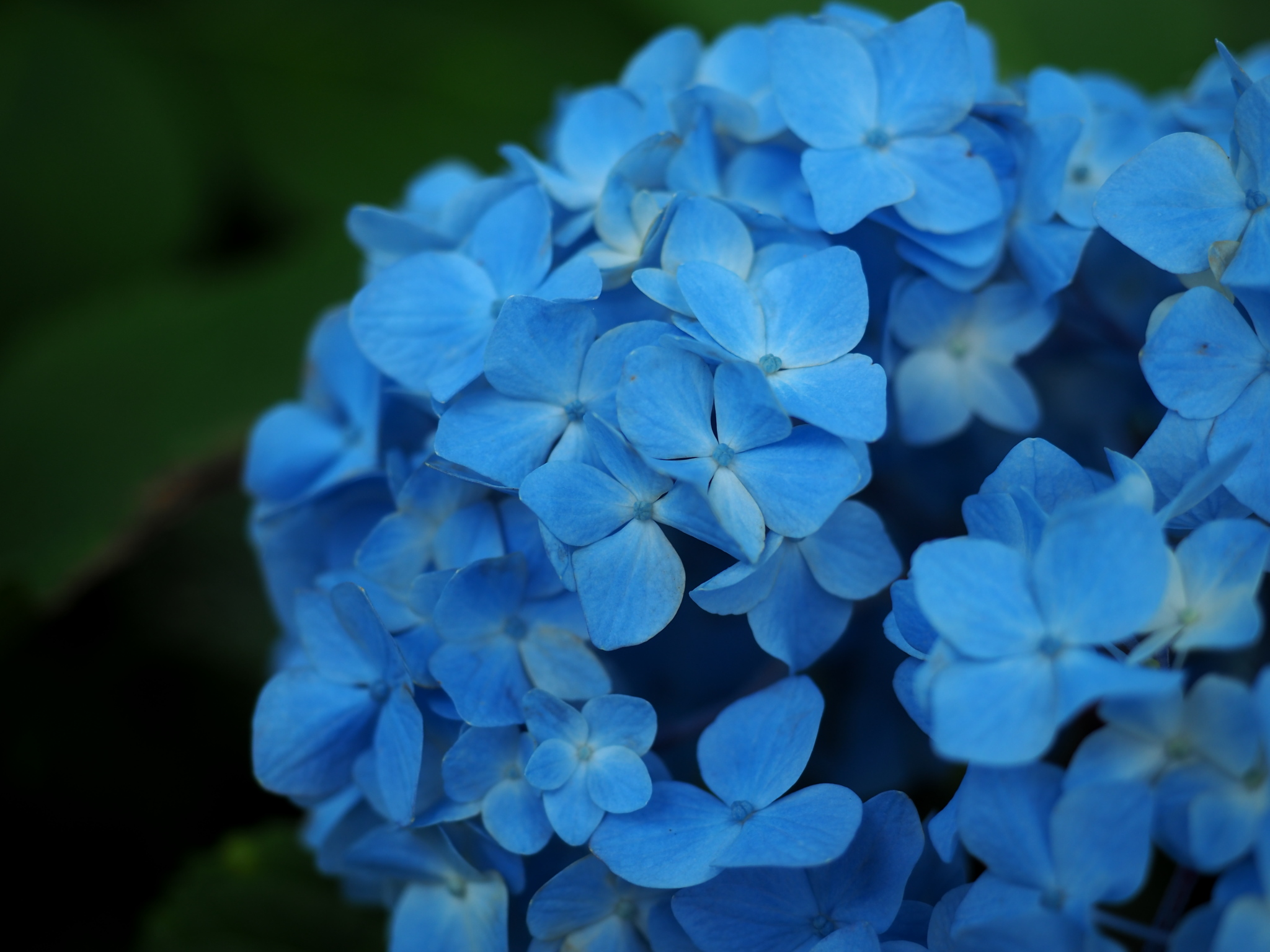 写真: P6090017
