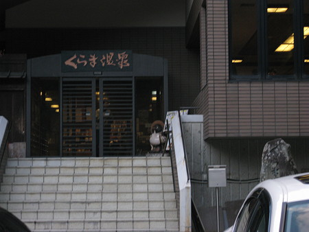 2007.11.11 011