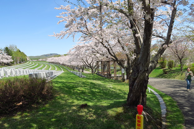 戸田記念墓地公園その30