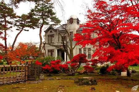 Blog_20151113_4